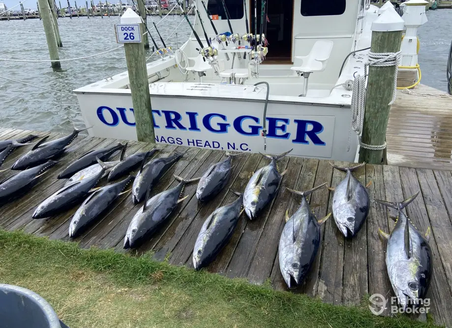 Outrigger Sportfishing charter image 5