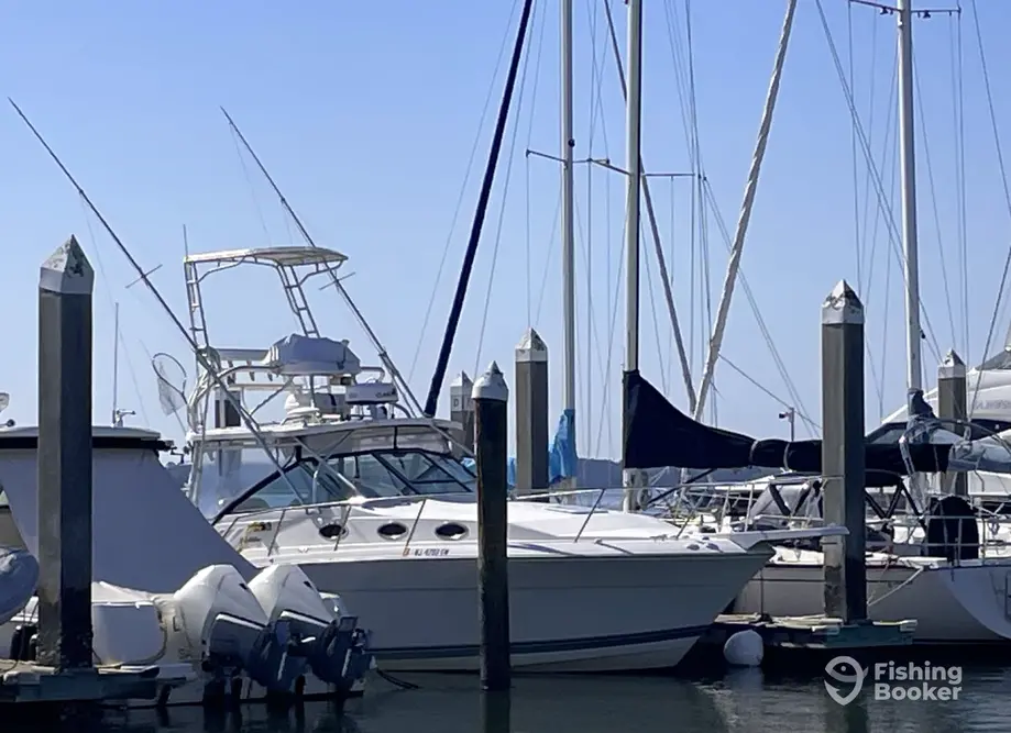Sara Mads Sport Fishing charter image 2