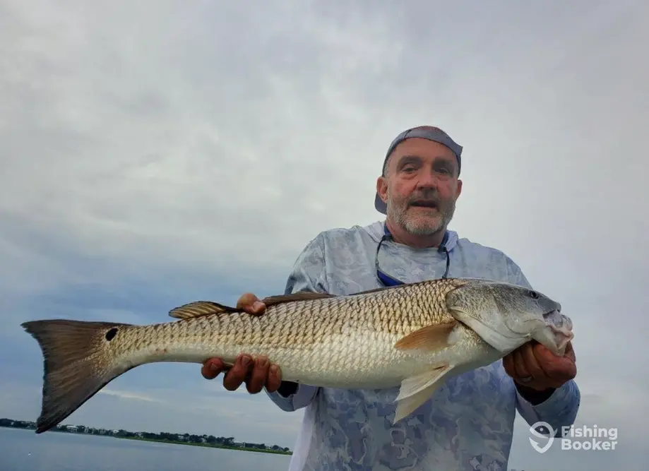Tidal Inshore Fishing Charters