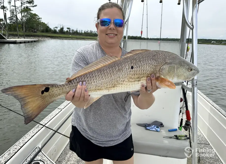 Tidal Inshore Fishing Charters charter image 4