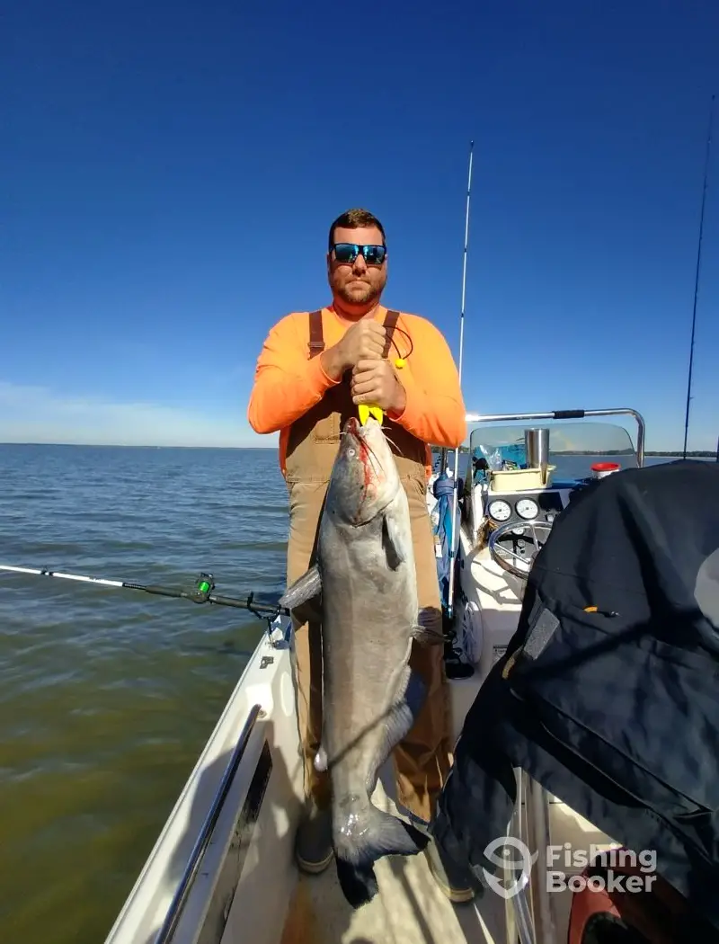 Reel Therapy Charters