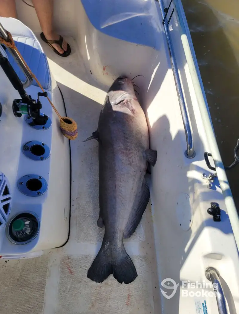 Reel Therapy Charters charter image 6
