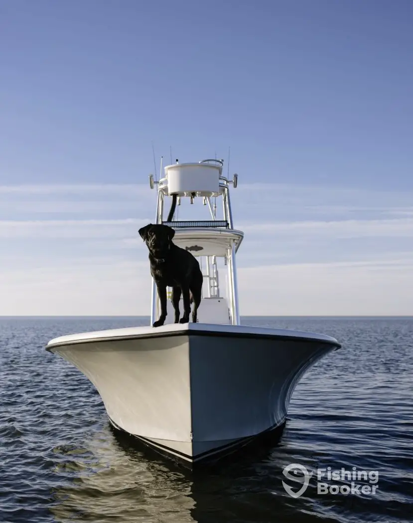Fish Hatteras charter image 4