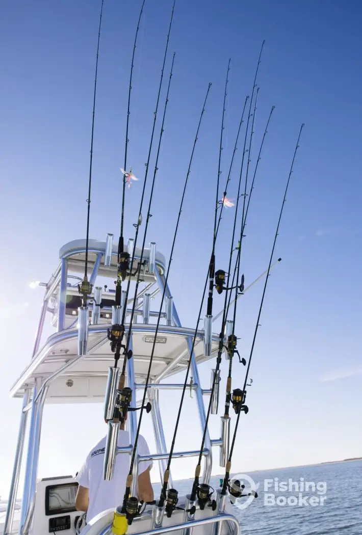 Fish Hatteras charter image 6
