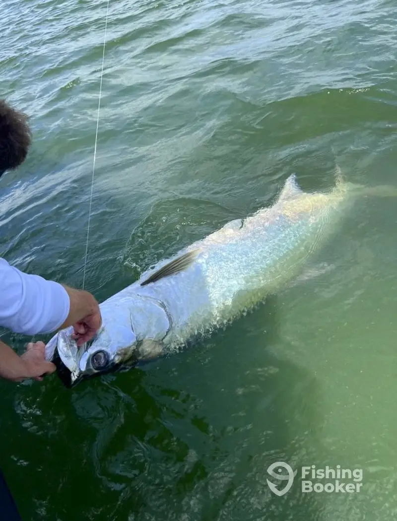Woodside Sport Fishing LLC charter image 3