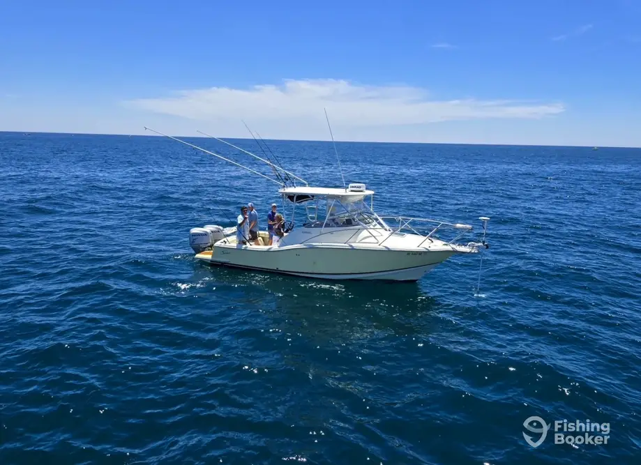 Loaded Dice Charters