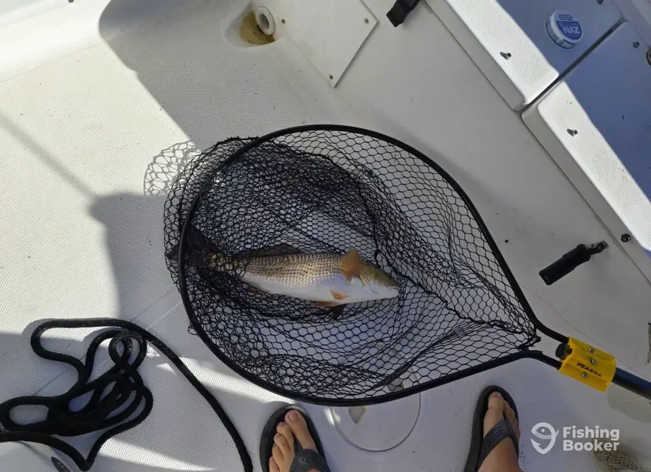 Primetime Fishing Charters charter image 5