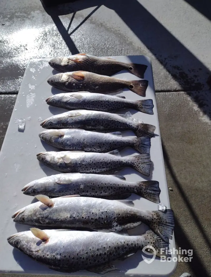 Primetime Fishing Charters charter image 6