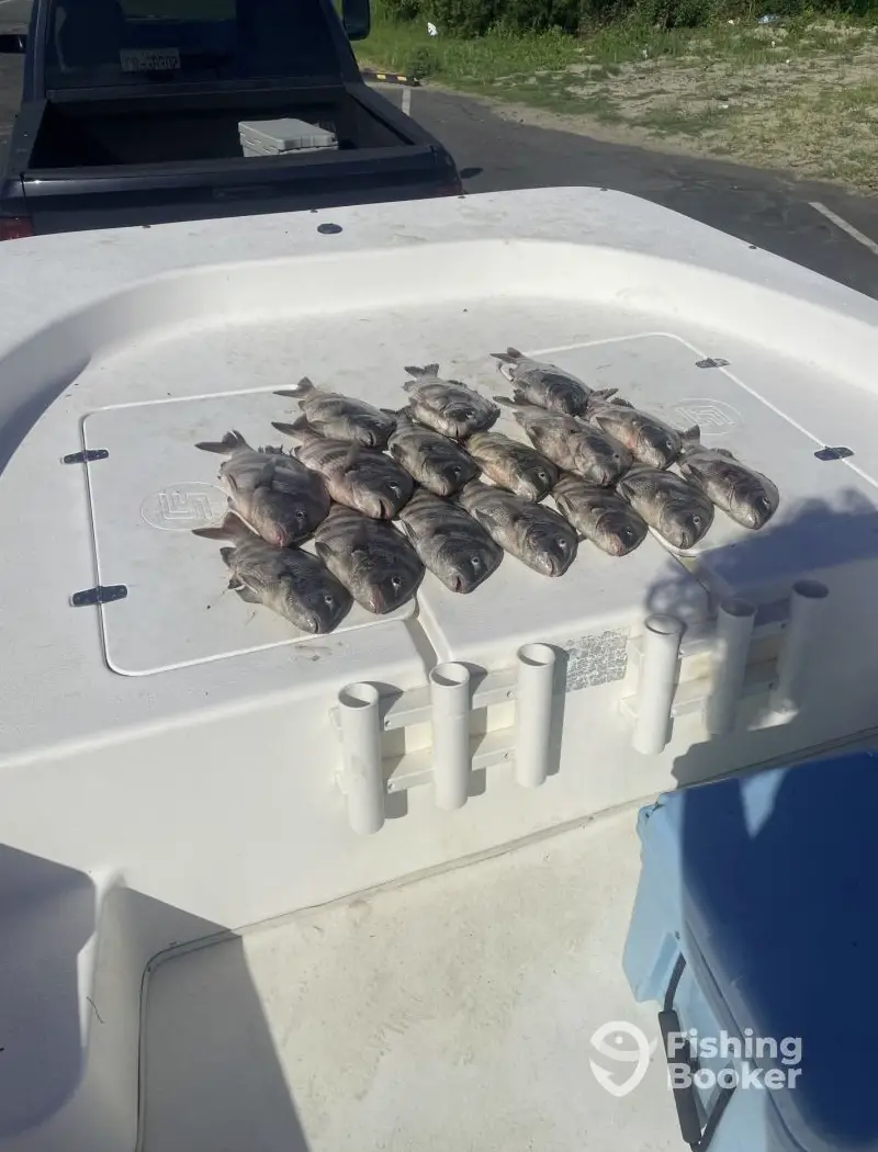Muddy Creek Adventures charter image 5