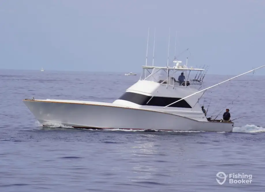 Euphoria Sportfishing charter image 2