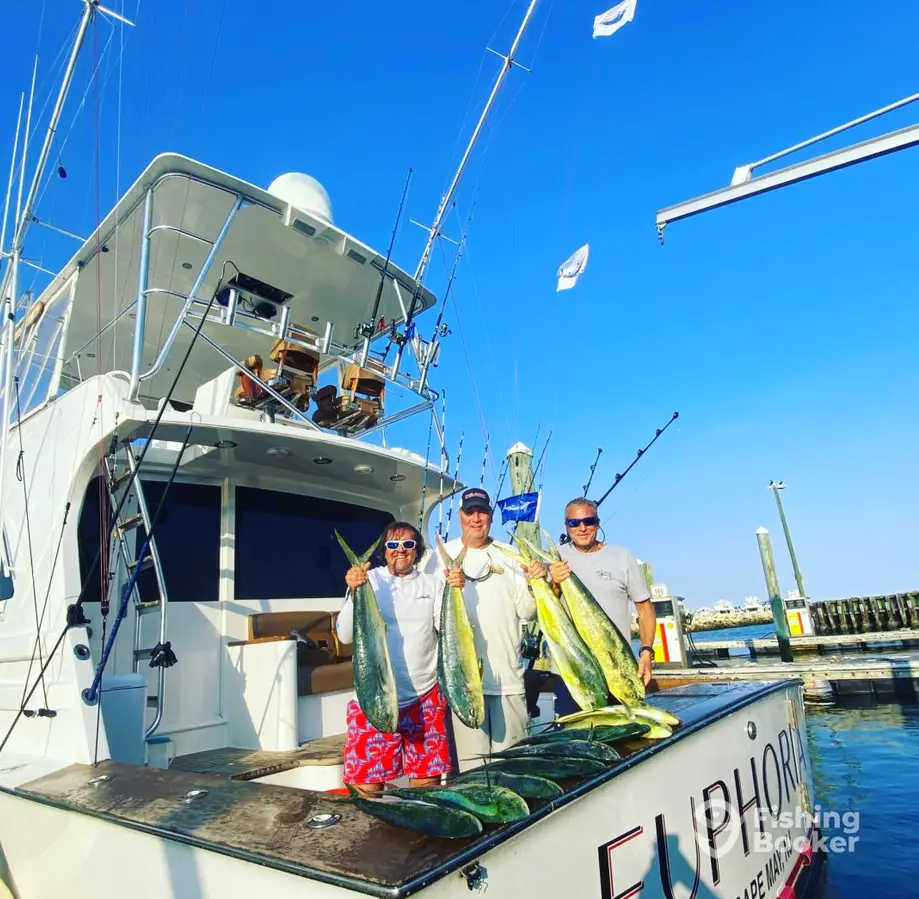 Euphoria Sportfishing charter image 6