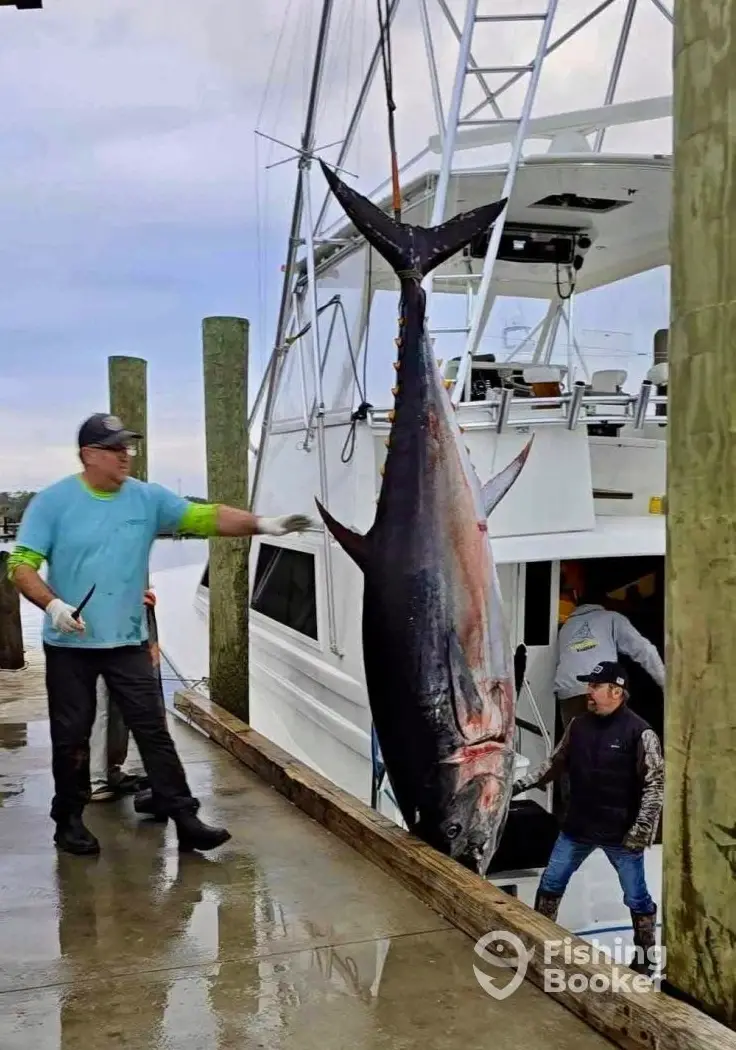 Honor Sportfishing charter image 2