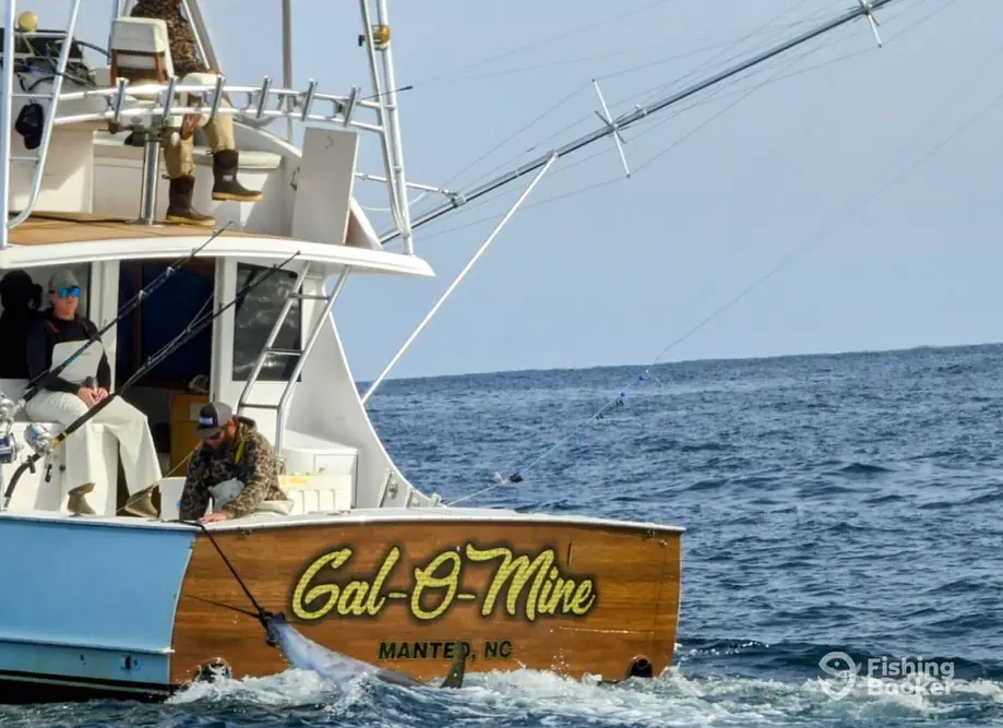 Gal-O-Mine charter image 3
