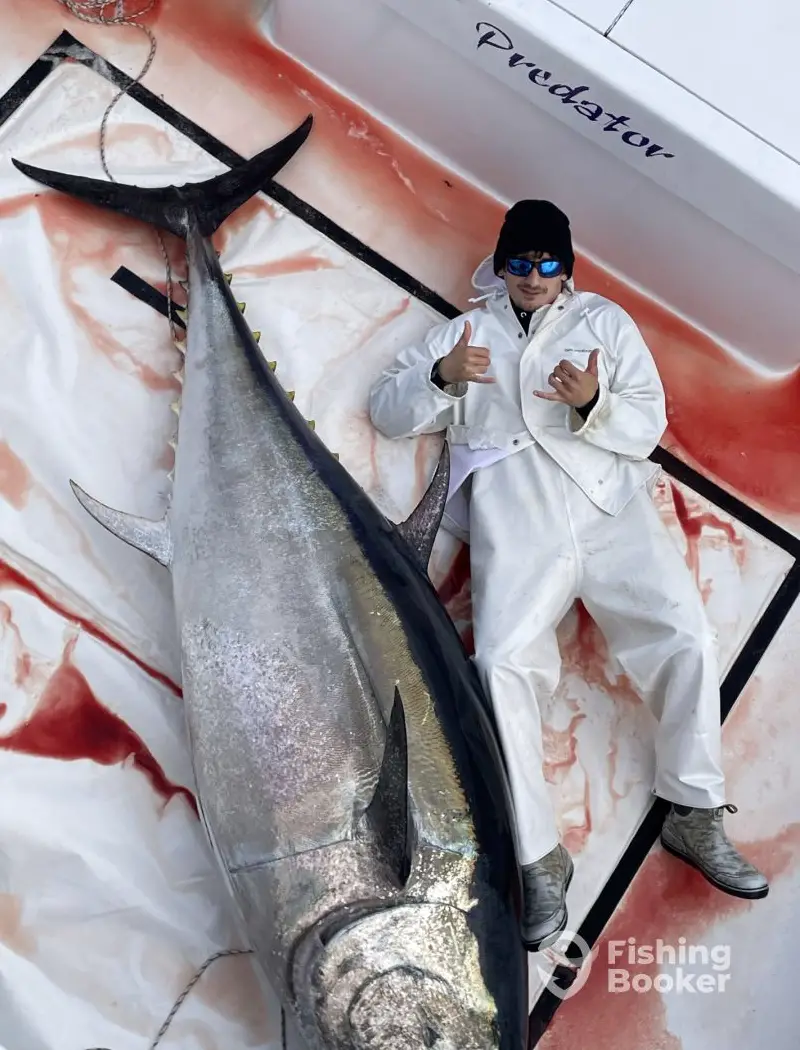 Cuervos Sportfishing charter image 2