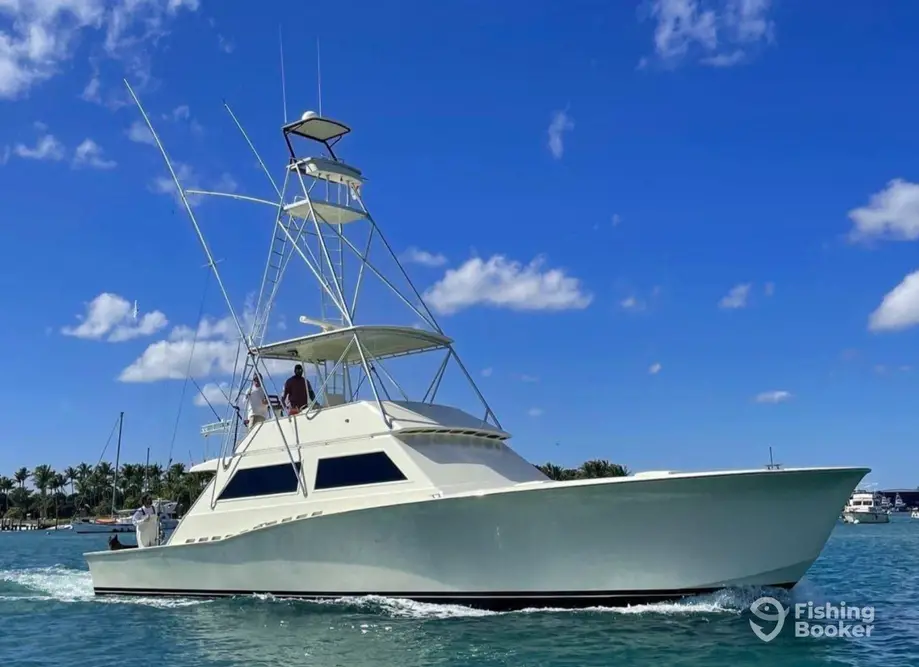 Cuervos Sportfishing charter image 3