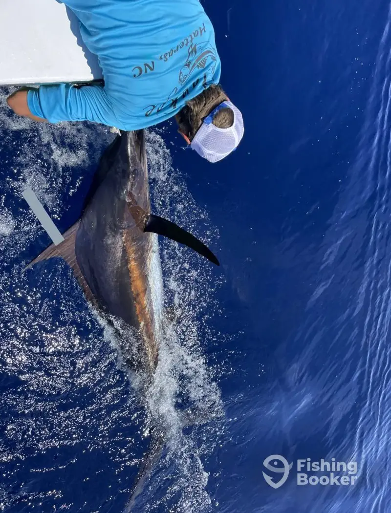 Cuervos Sportfishing charter image 4