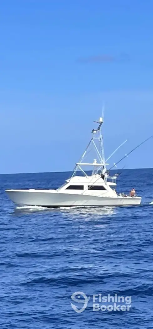 Cuervos Sportfishing charter image 5