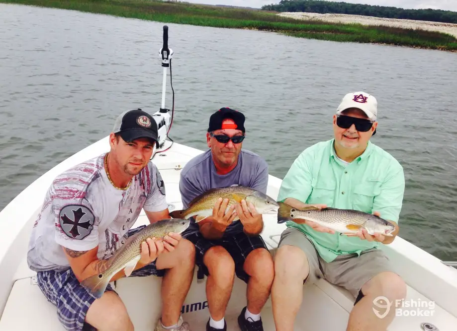 Seas So Shallow Charters