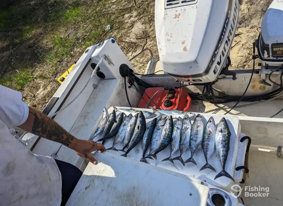 No Problem Sportfishing charter image 5