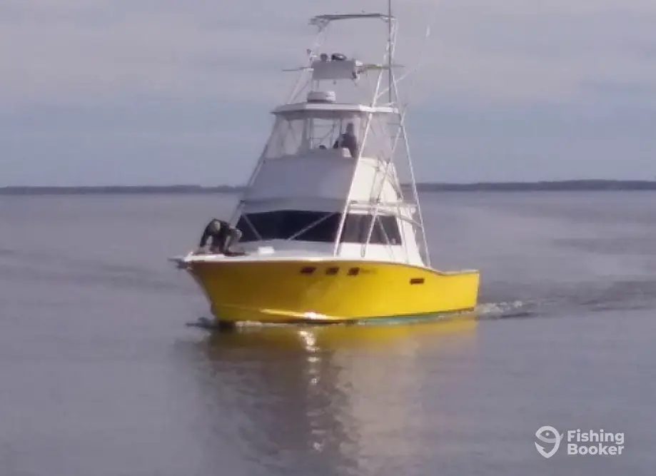 Fishing Taxi Sportfishing charter image 4