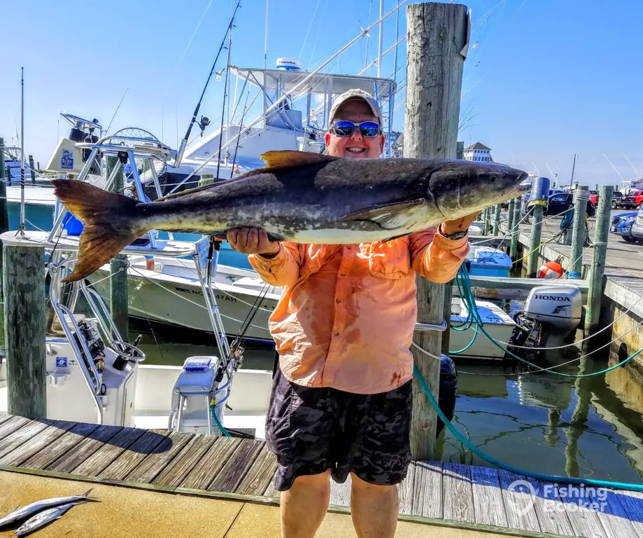Hang-On! Fishing Charters charter image 4
