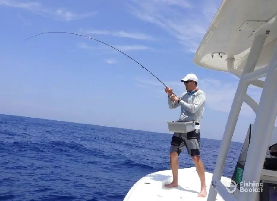 I Sea Fish charter image 4