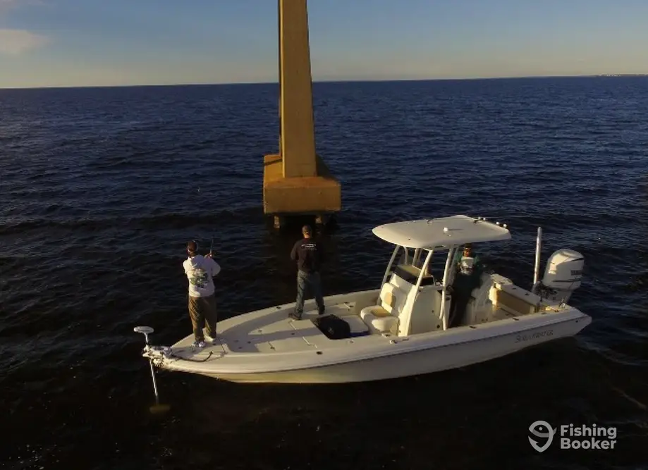 I Sea Fish charter image 6