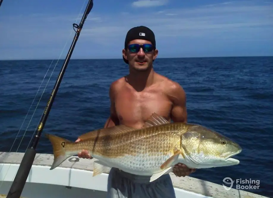 STOLAT Fishing Charters charter image 4