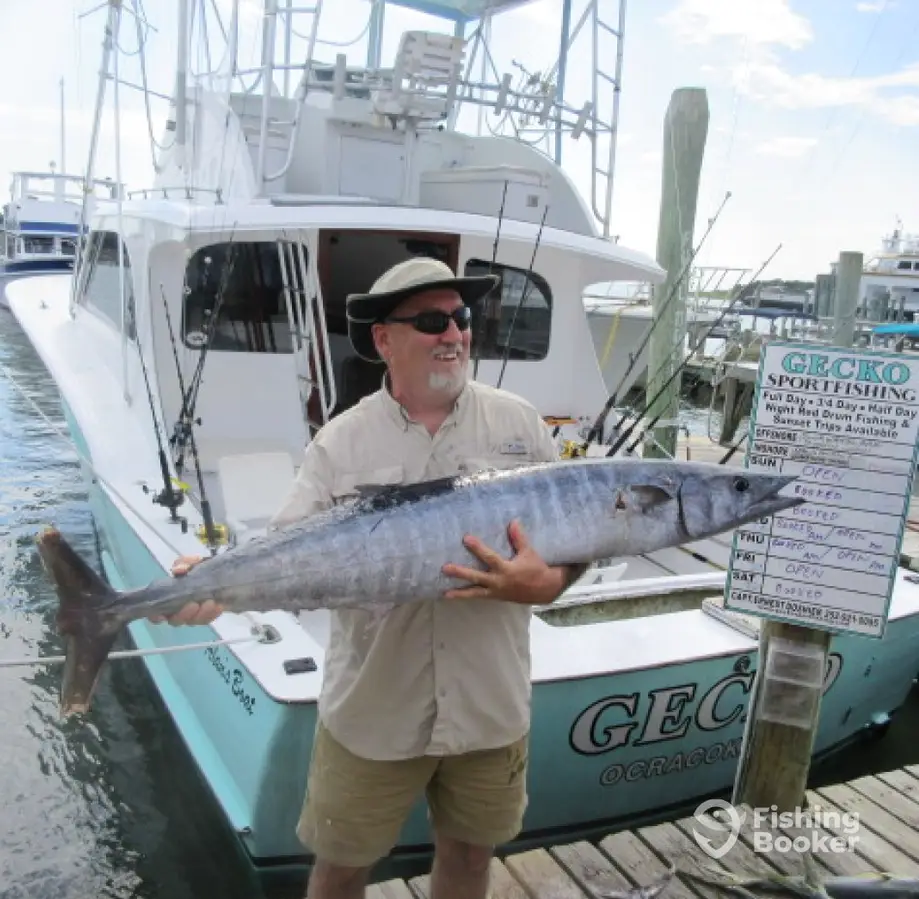 Gecko Sportfishing charter image 5