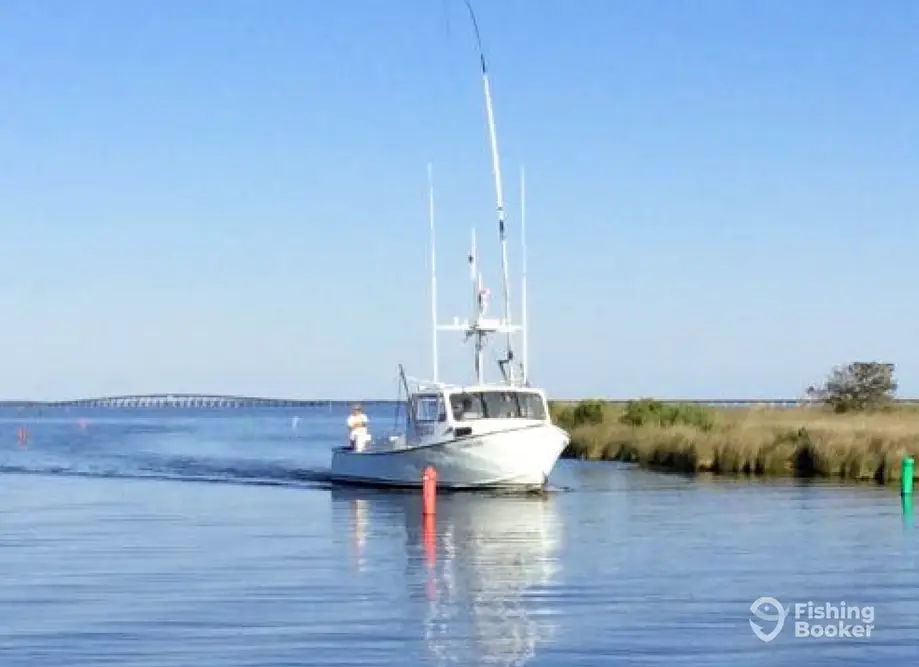 Croatan Charters – Crab & Shrimp charter image 3