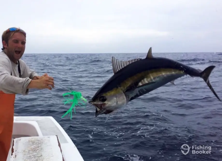 Uptick Charters charter image 3
