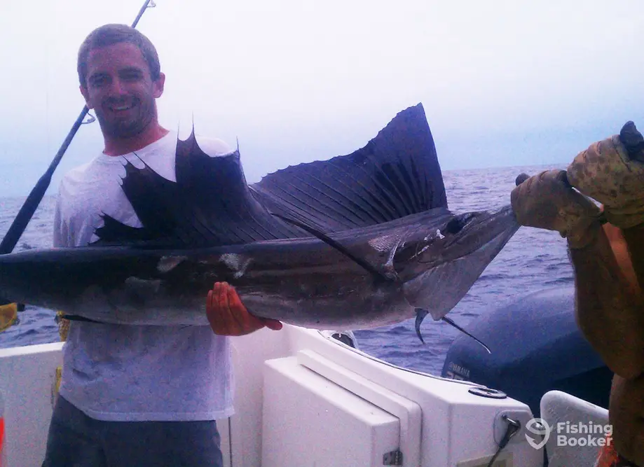 Uptick Charters charter image 6