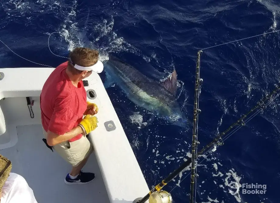 Phideaux Fishing charter image 3