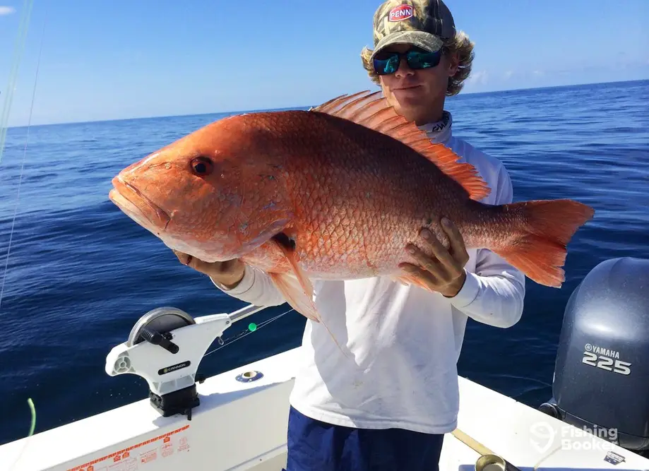 Marsh View Fishing Charters - 32' charter image 2