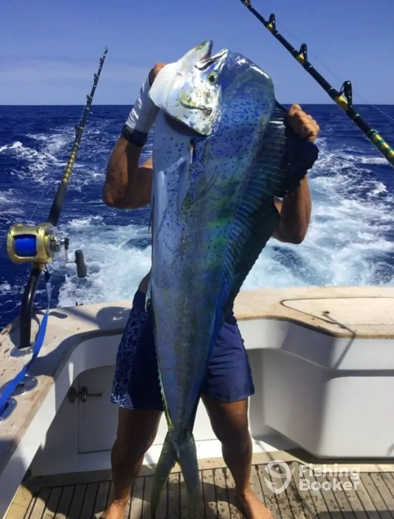 Carolina Girl Sportfishing charter image 5