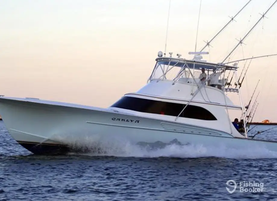 Carly A Sportfishing charter image 3