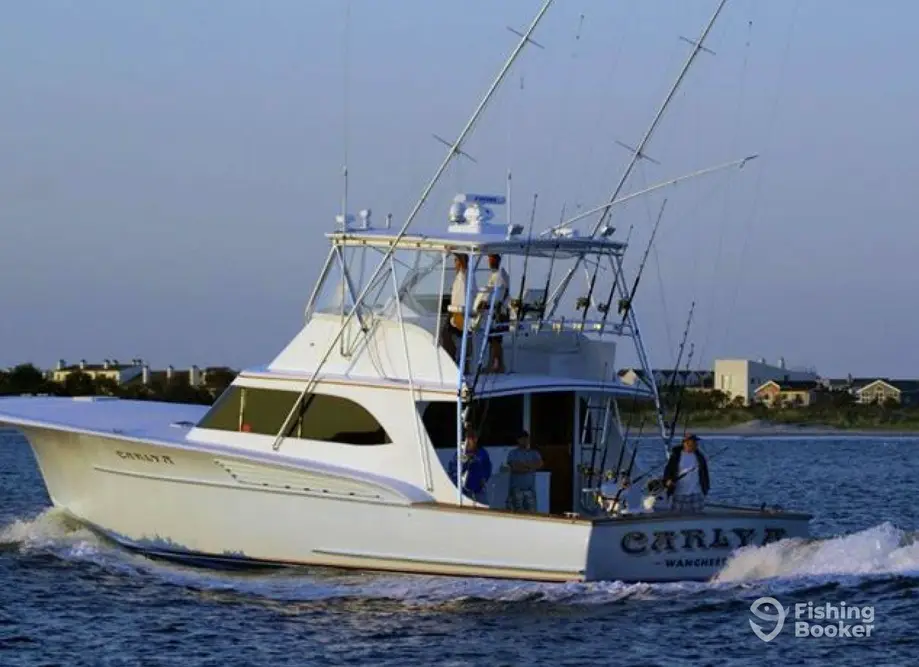 Carly A Sportfishing charter image 6
