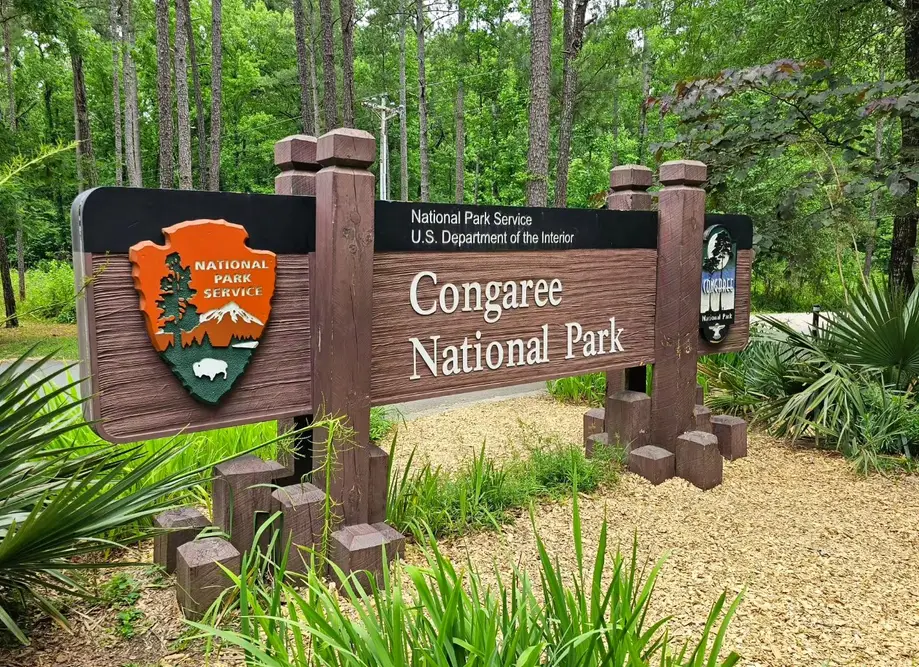 Congaree National Park - Cedar Creek Kayaking