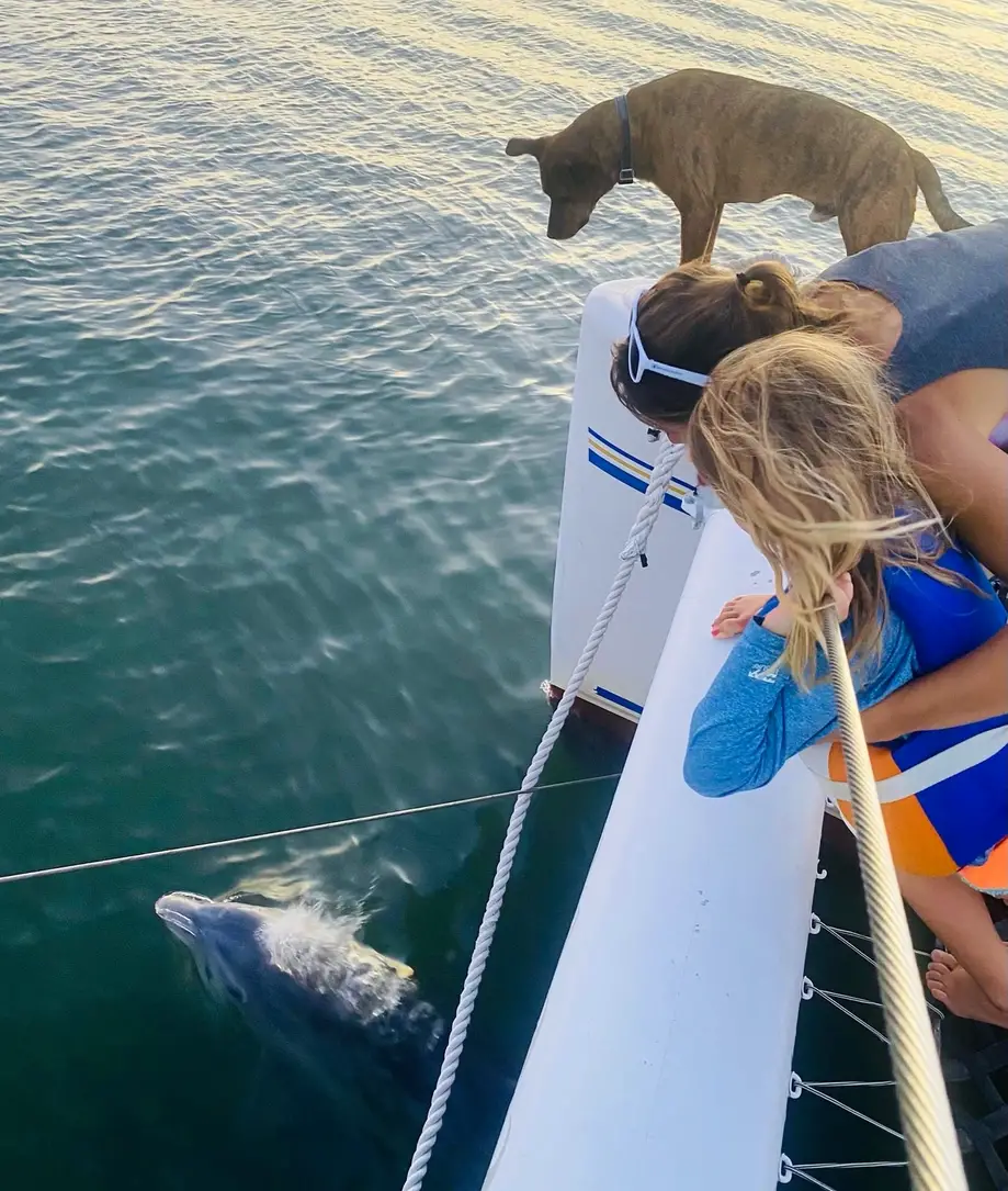 Two-Hour Sail (Folly Beach)