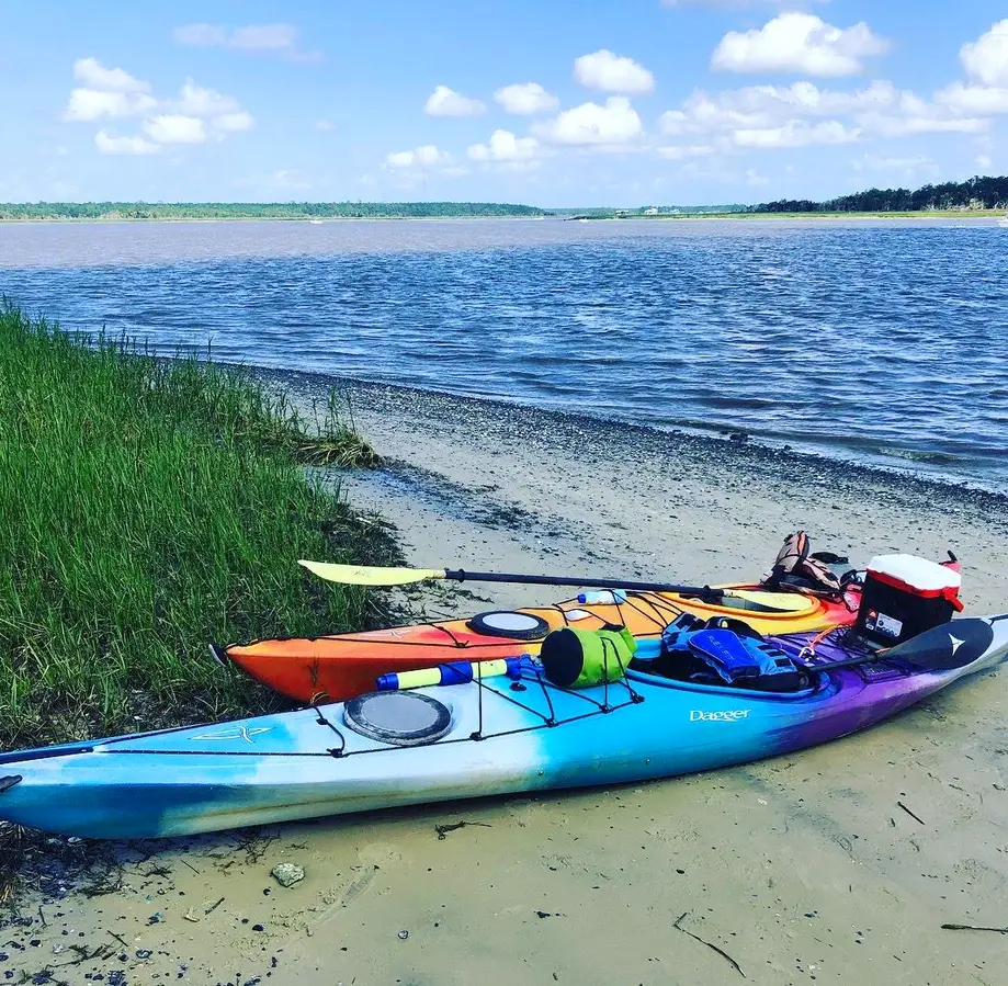 Cat Island - Wando River Paddle and Fossil Hunt