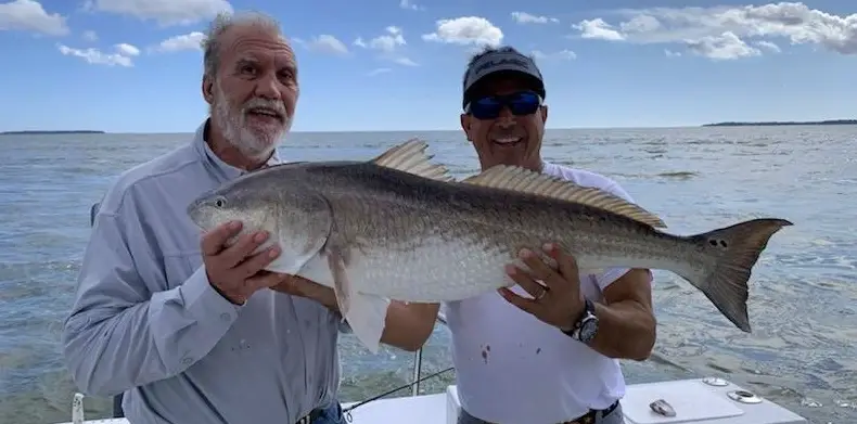 Four Hour Private Inshore/Nearshore Charter