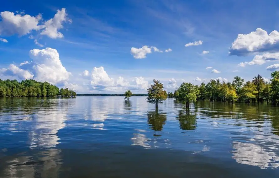 Wildlife/Historical Cruise