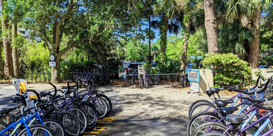 5 Day Rental (Walk Up)