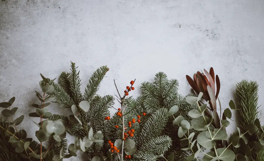 Christmas at Myrtle Beach