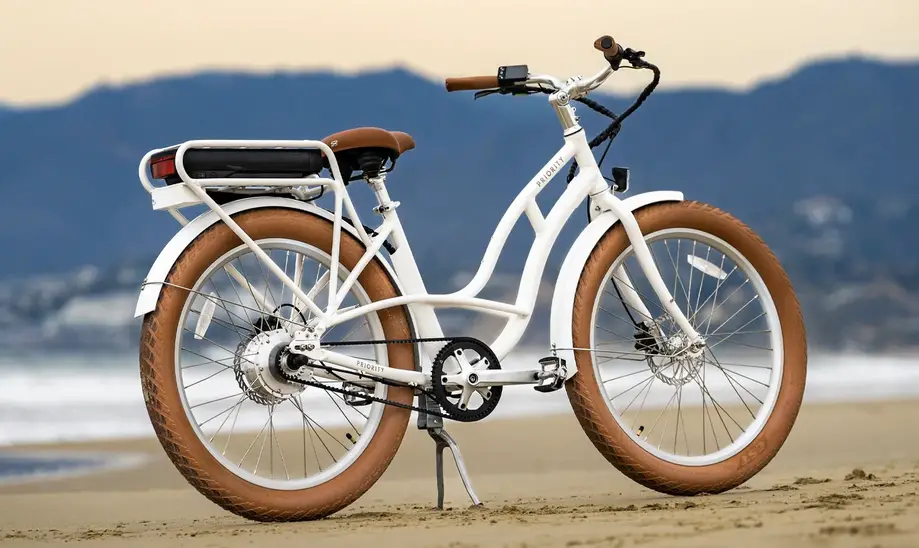 Four Day Electric Bike Rental