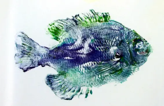 Fish Printing