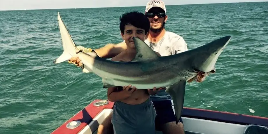 Shark Fishing Trips