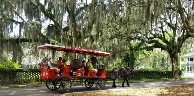 Historic Carriage Tour