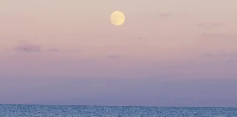 Moonlight Cruise Boat Tour