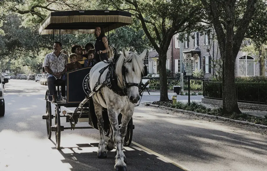 Charleston Carriage Ghost Tour